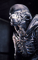 alien14.jpg (11135 byte)