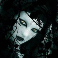 La Regina Dei Vampiri