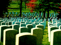 cimitero del MillenniuM