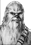 wookie male 1.png (13765 byte)