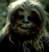 wookie.png (73936 byte)